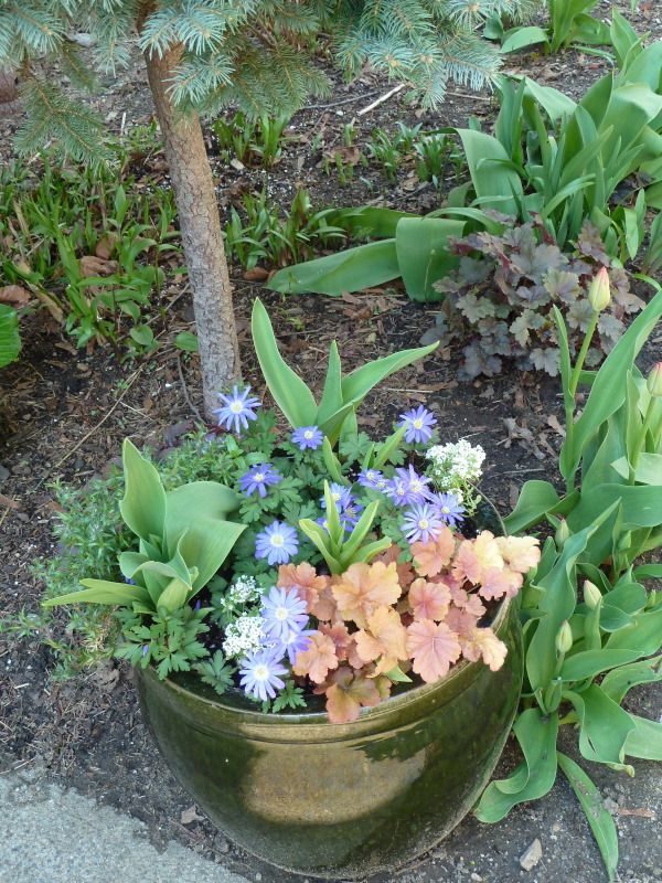 Fall Planting of Bulbs in Glazed Pots Layering Possible?